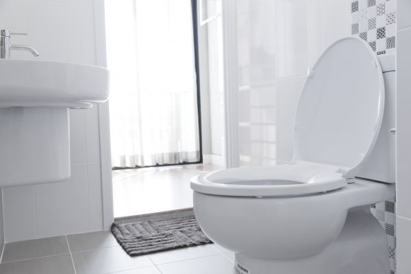 Cost of Toilet Relocation in Elkhart